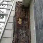 Failed Stucco Inspection