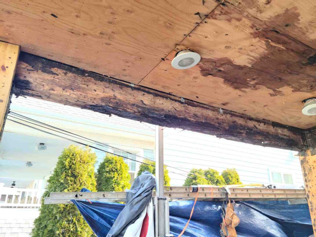 visual mold inspection